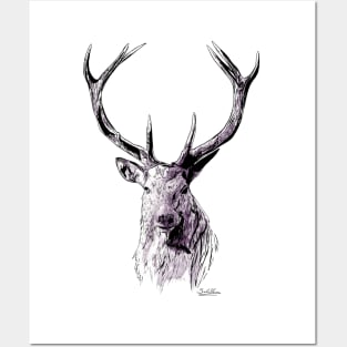 Lord Of The North - Stag - Ink and Watercolour Posters and Art